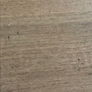 Meet your Posher, Debra